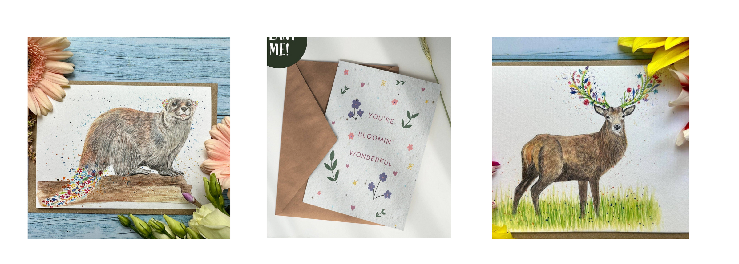 Eco-friendly Greeting Cards.