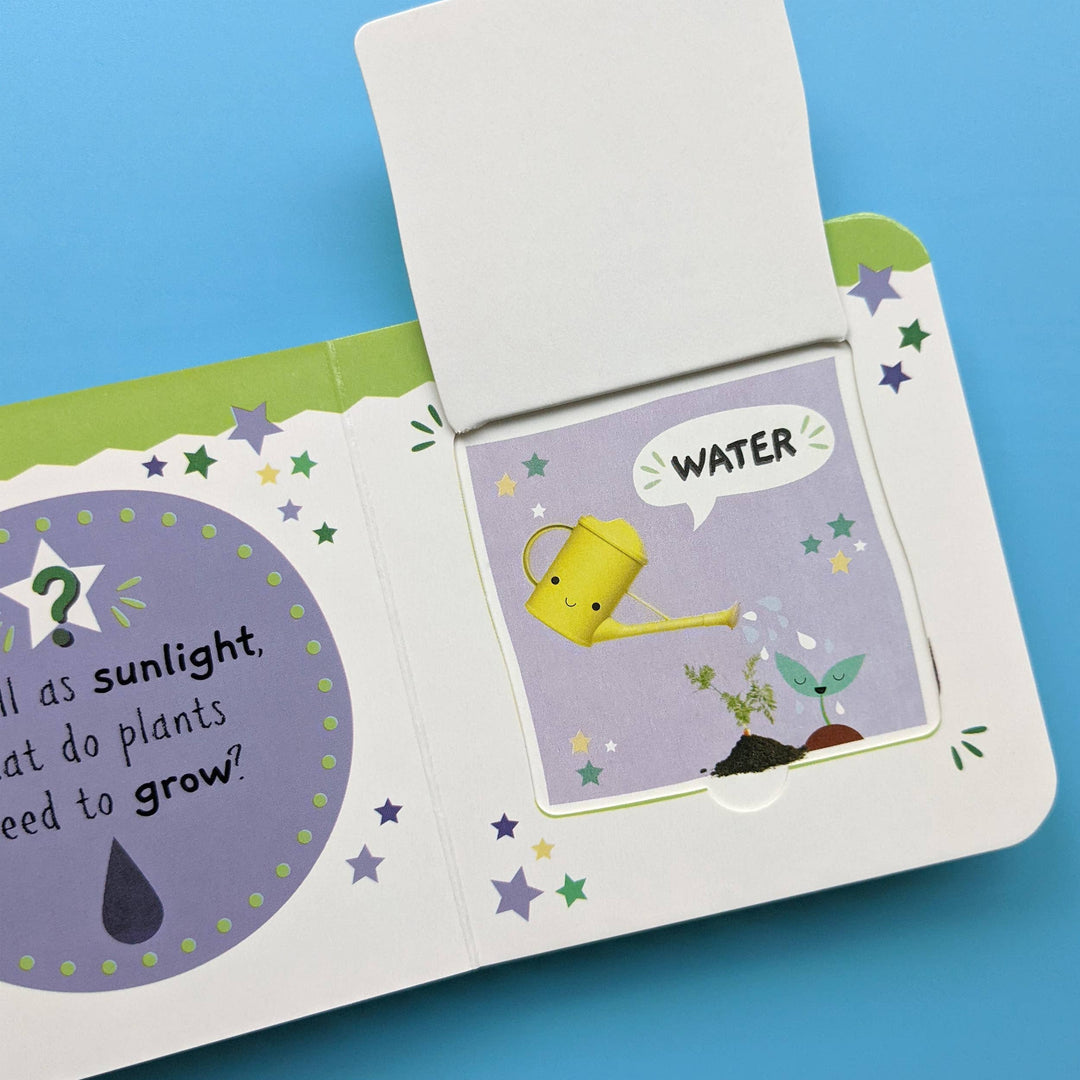 My First Mini Lift The Flap Book: Nature