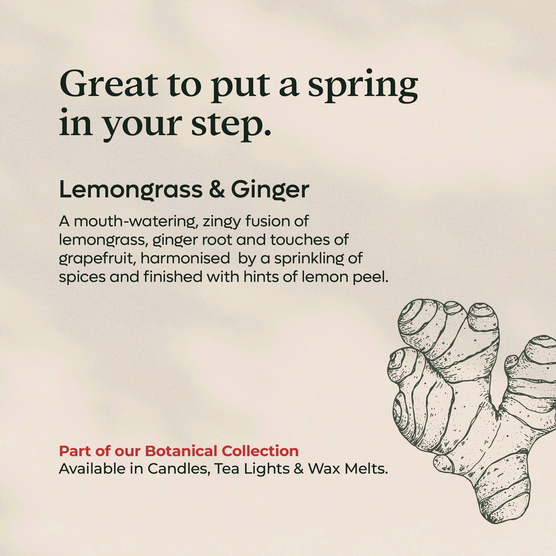 Lemongrass & Ginger Wax Melts | Rapeseed and Coconut Wax
