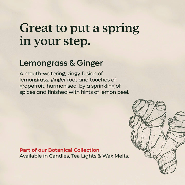 Lemongrass & Ginger Wax Melts | Rapeseed and Coconut Wax