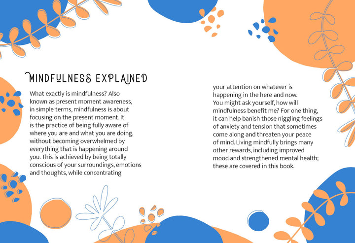 Mindfulness for everyday