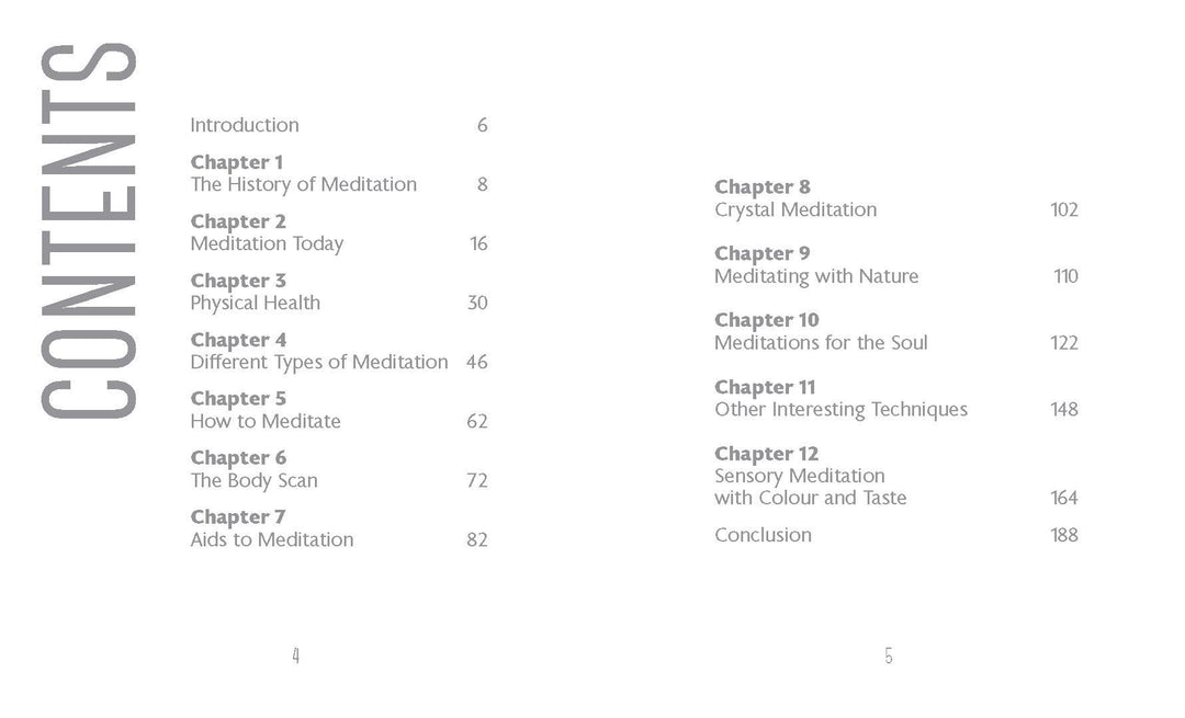 Little book of meditation (ORANGE HIPPO)