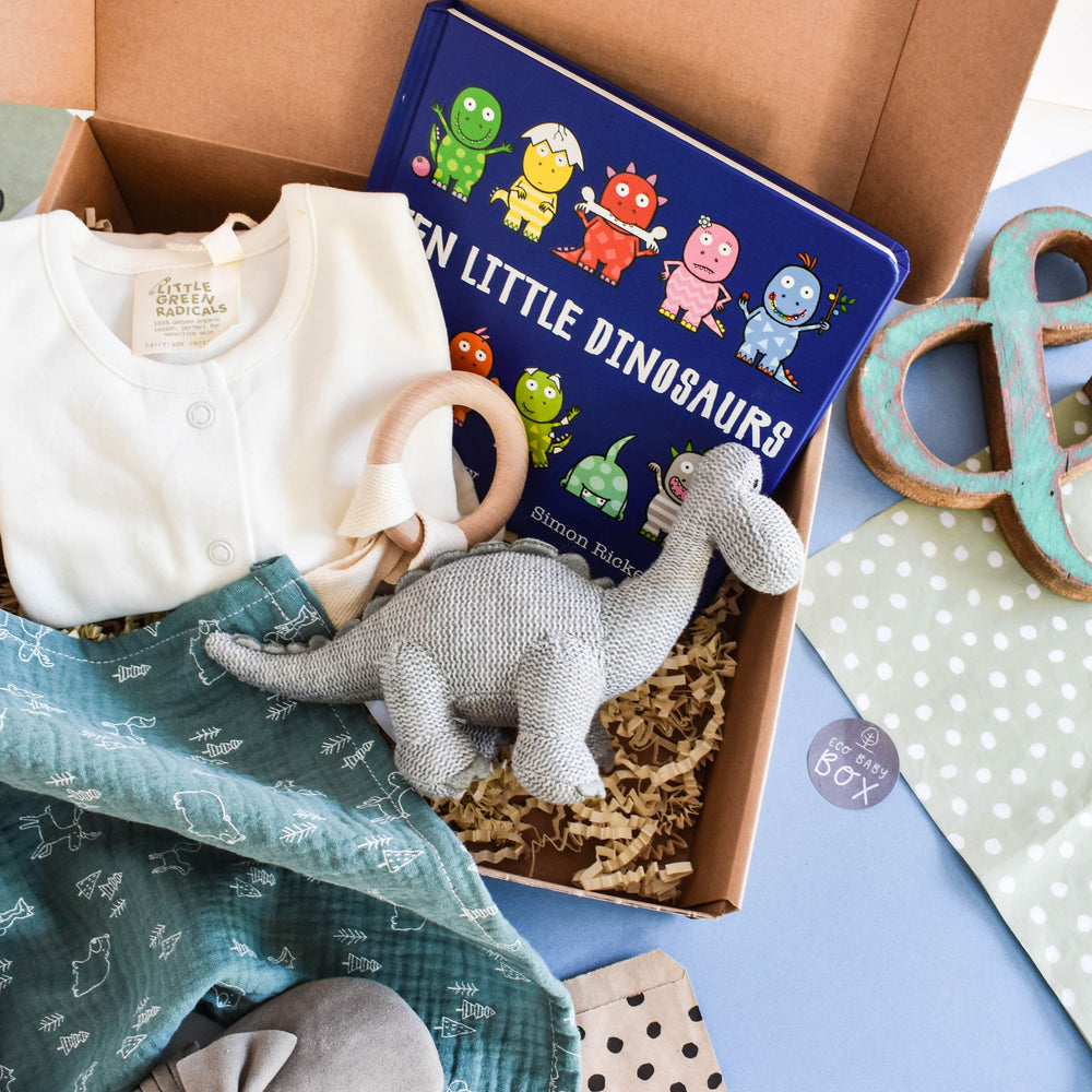 Roarr goes the Dinosaur - New Baby Gift Box - Eco BabyBox