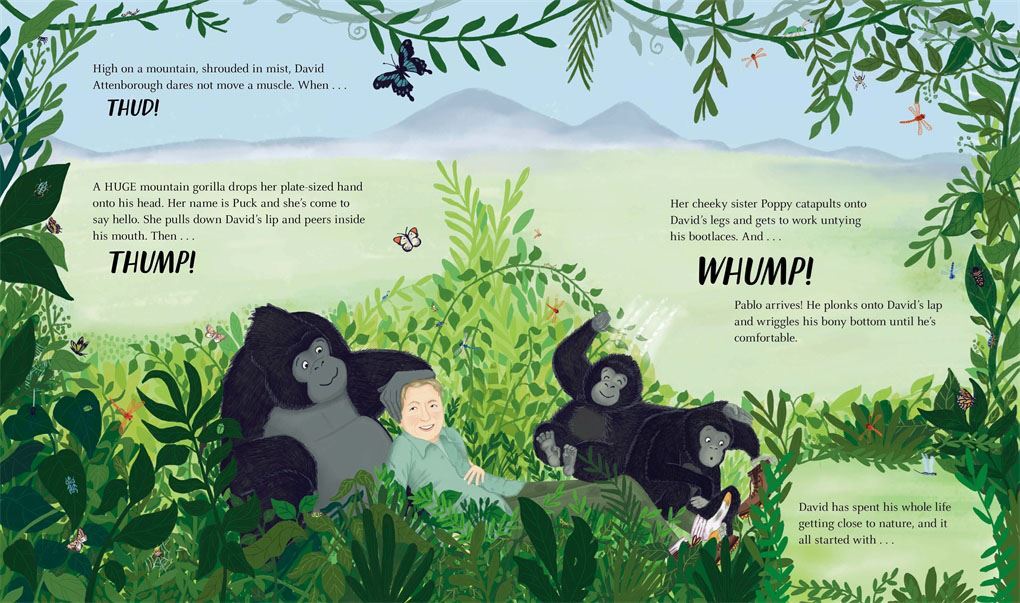 WILD LIFE (DAVID ATTENBOROUGH) (PB) - The Eco Boutique