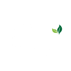 Devon Eco Boutique