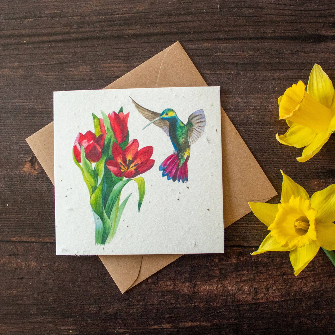 Plantable Greetings Card - Hummingbird