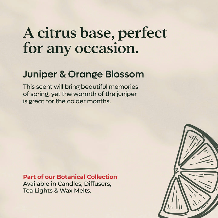 Juniper and Orange Blossom Tea Lights | Rapeseed & Coconut