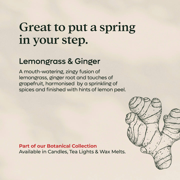 Lemongrass & Ginger Tea Lights | Rapeseed & Coconut wax