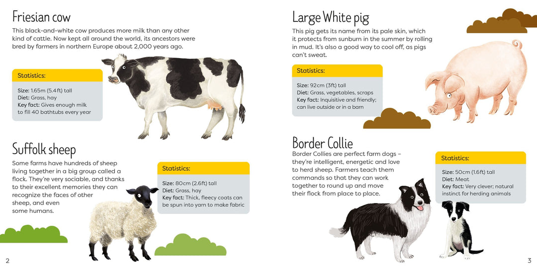 Usborne Book & Jigsaw - Farm - The Eco Boutique 