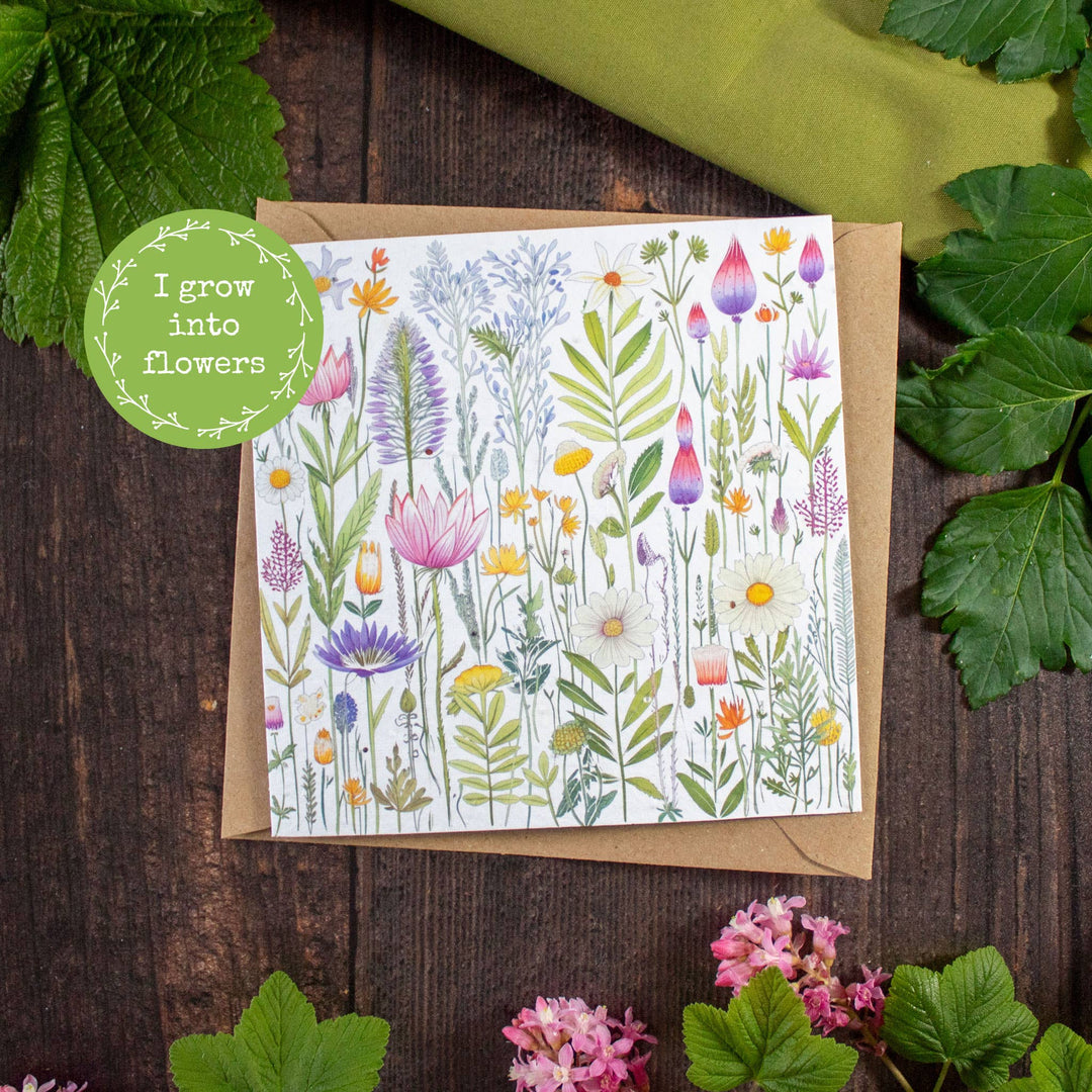 Plantable Greetings Card - Flower Collage