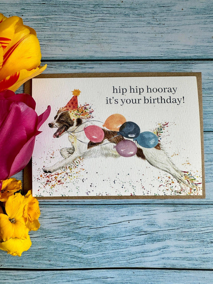 Birthday Spaniel |  Eco Friendly Card  Cute Colourful Dog: WRAPPED