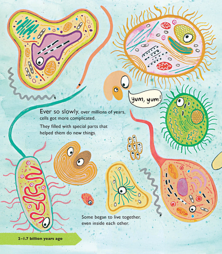 The story of life - First book about evolution