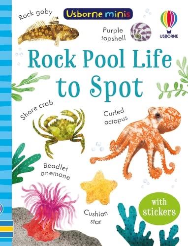 Usborne Minis: Night Sky - Rockpool Life To Spot (PB)