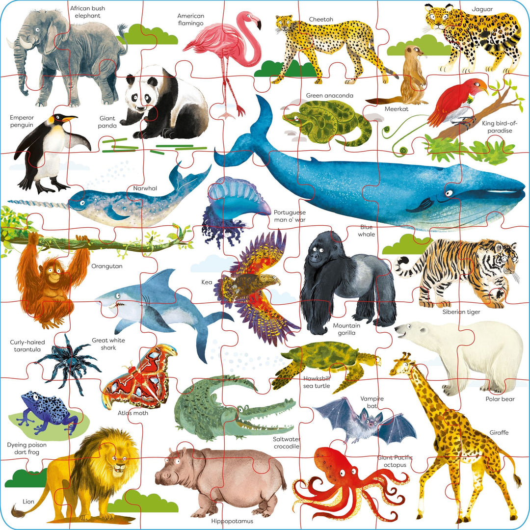 Usborne Book & Puzzle - Wild Animals