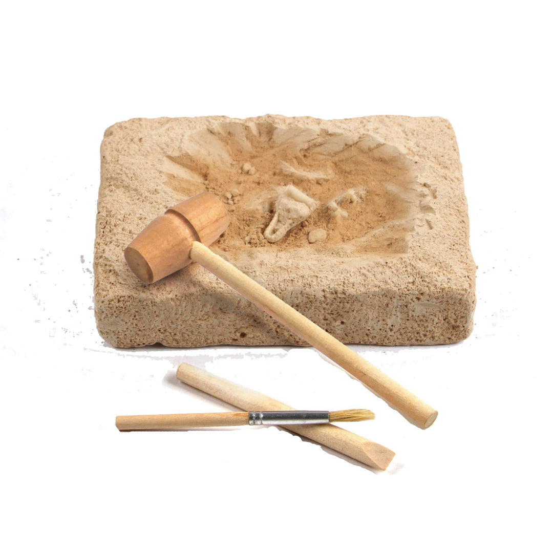 Discover Dinosaur Escavation Kit