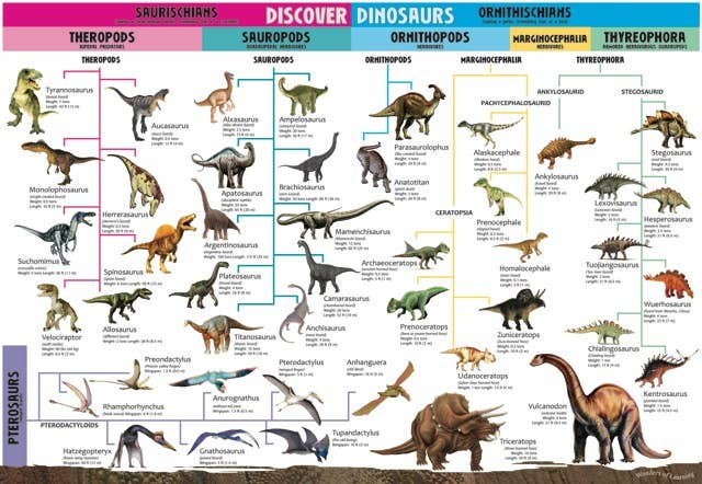 Discover Dinosaurs Wall Chart