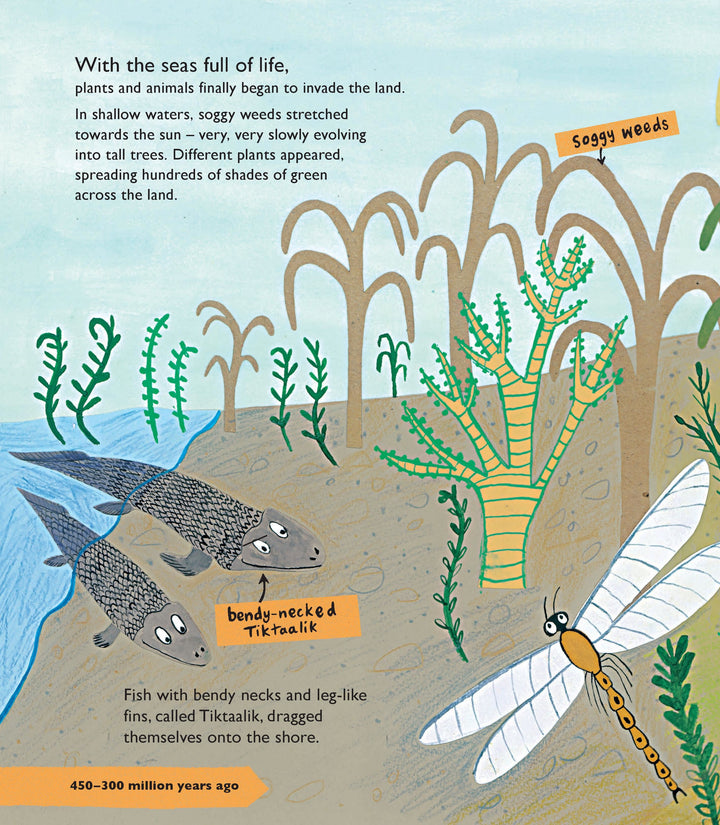 Kids Book about Evolution 