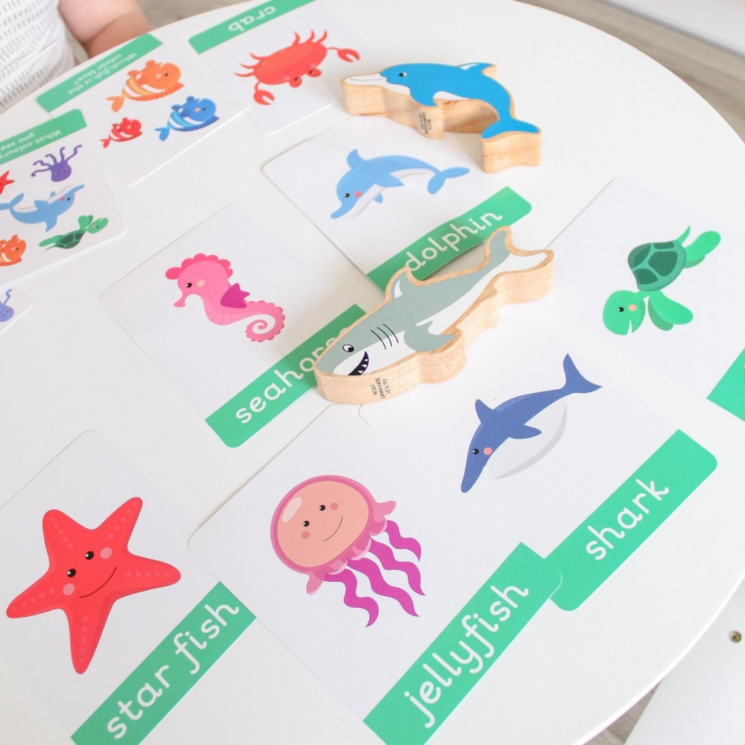 Under The Sea Baby & Toddler Flashcards