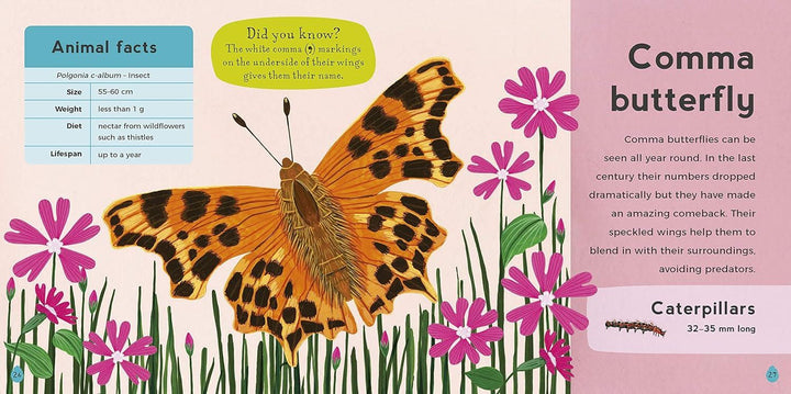 My first book of woodland animals