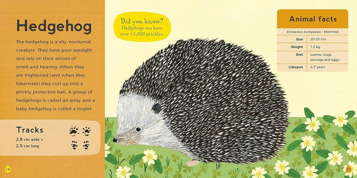 My first book of woodland animals