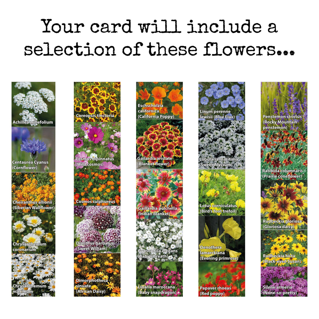 Naughty Shrew Plantable Card Flower seeds