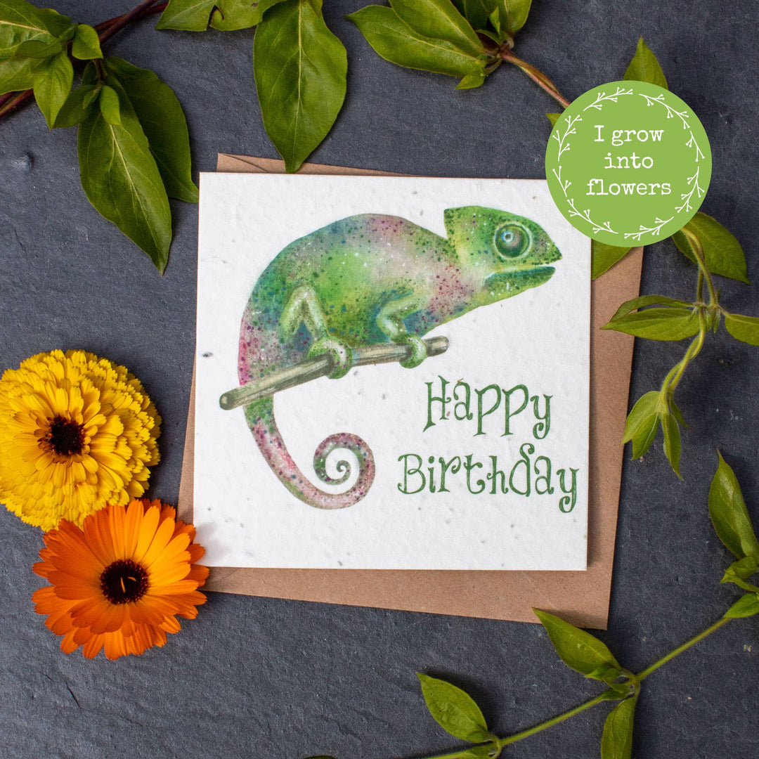 Plantable Birthday Day Card - Chameleon