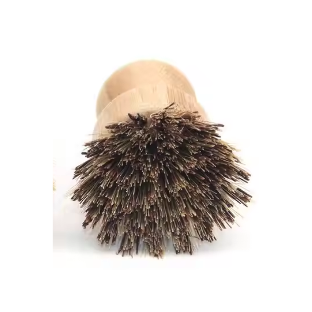Beard brush with bristle head and wooden handle on a white background