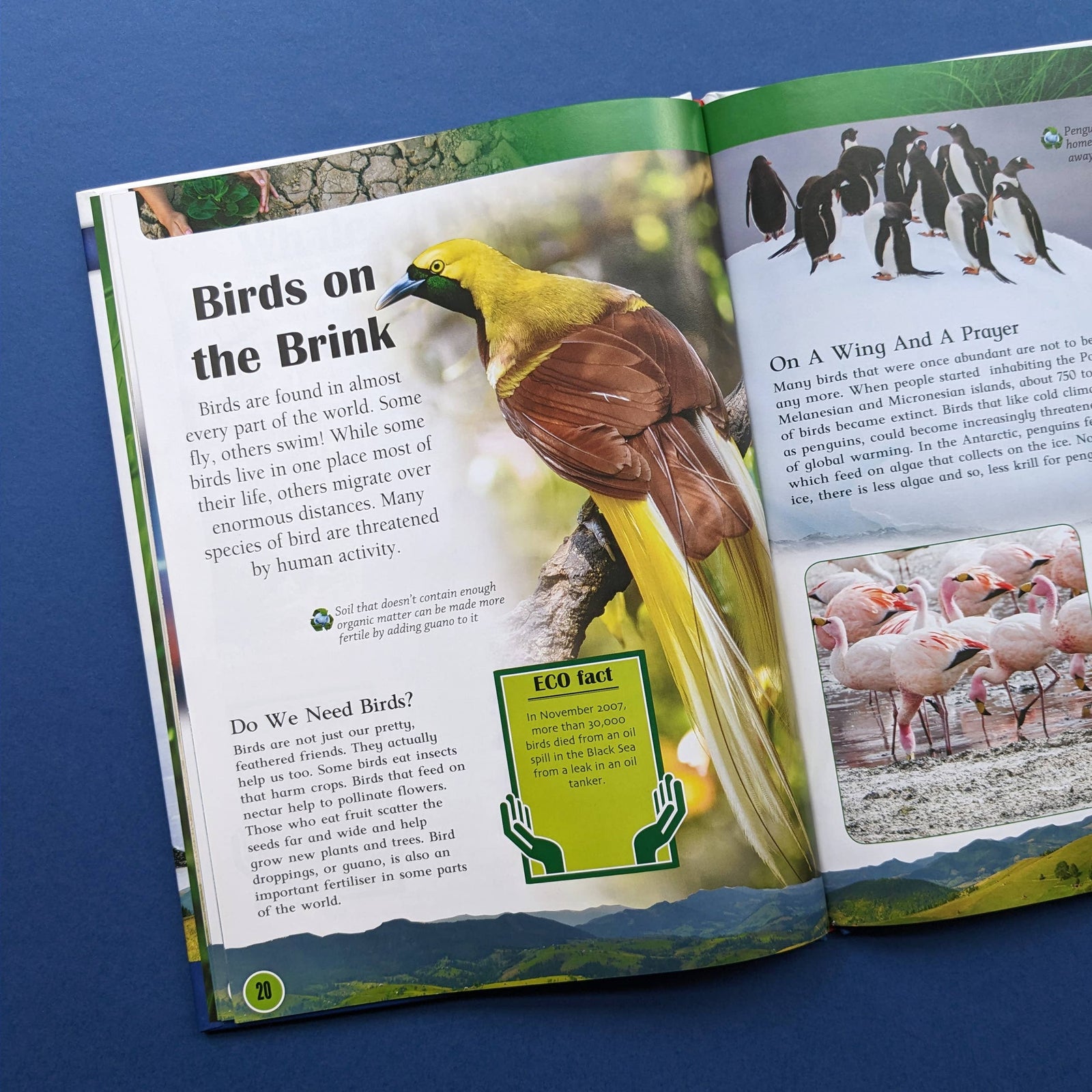 Saving Planet Earth Book