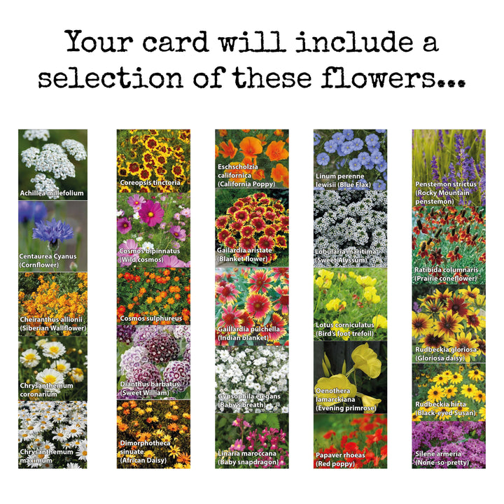 Seeded mother's day cards that grow into flowers.