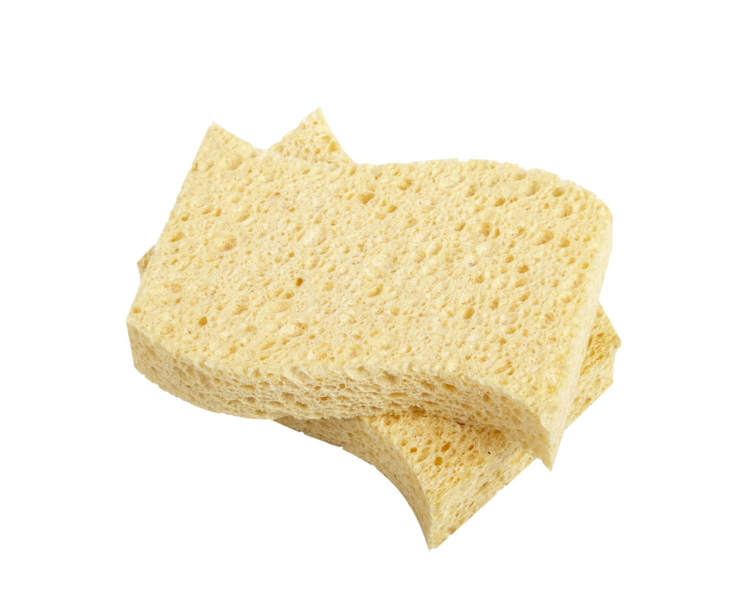 Biodegradable Kitchen Sponges - (Pack of 2)
