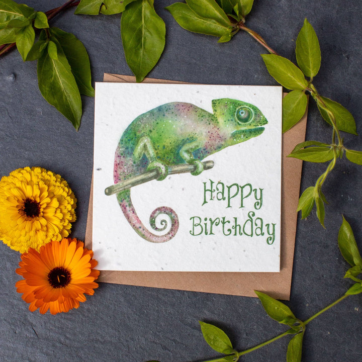 Plantable Birthday Day Card - Chameleon