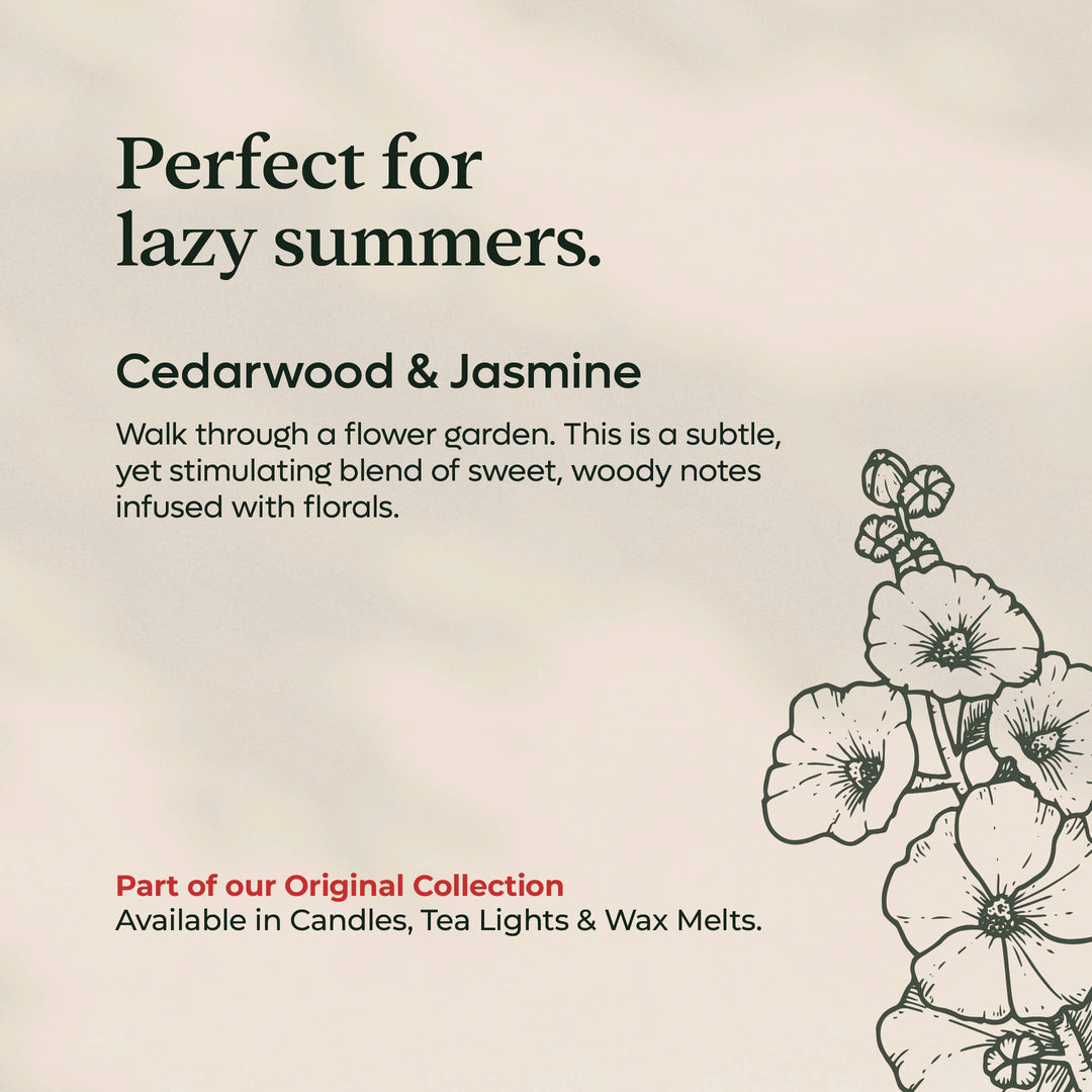 Cedarwood & Jasmine Tea Lights | Rapeseed & Coconut Wax