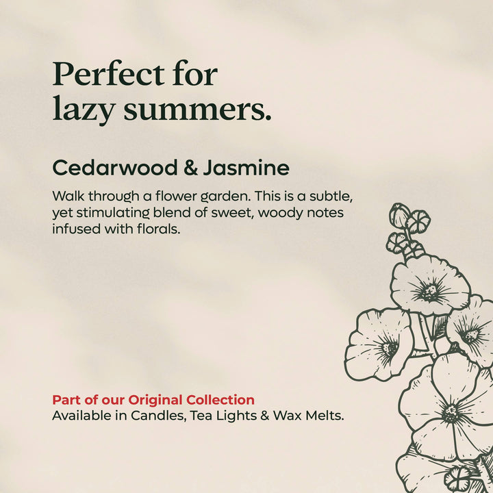 Cedarwood & Jasmine Tea Lights | Rapeseed & Coconut Wax