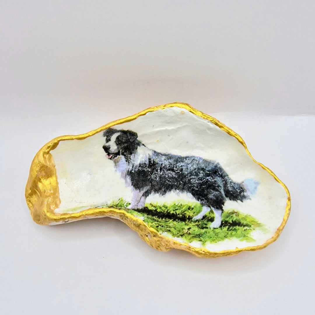 Border Collie Dog Oyster Shell Trinket Dish