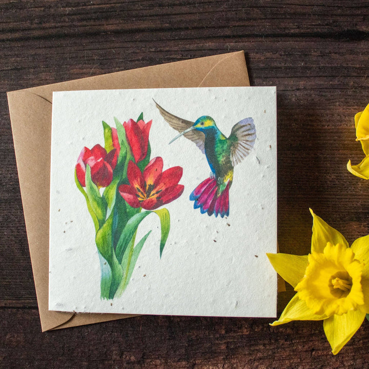 Plantable Greetings Card - Hummingbird