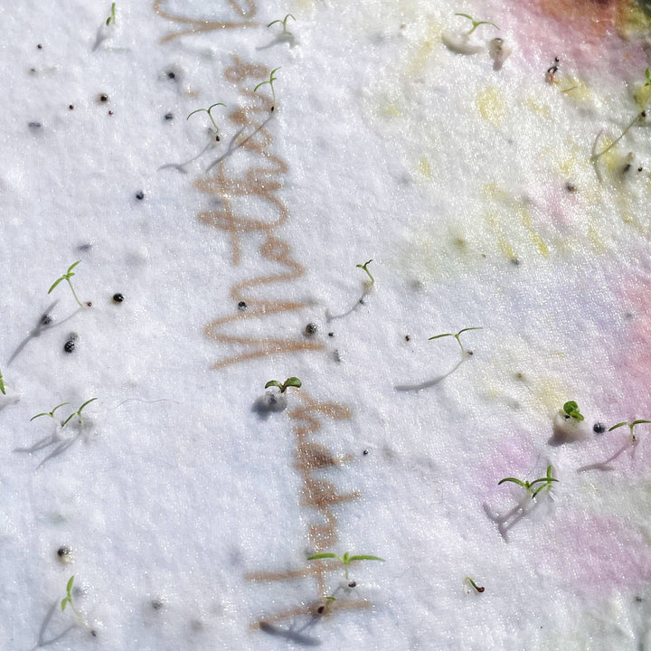 Plantable Christmas Card - Snowman - Eco Baby Box