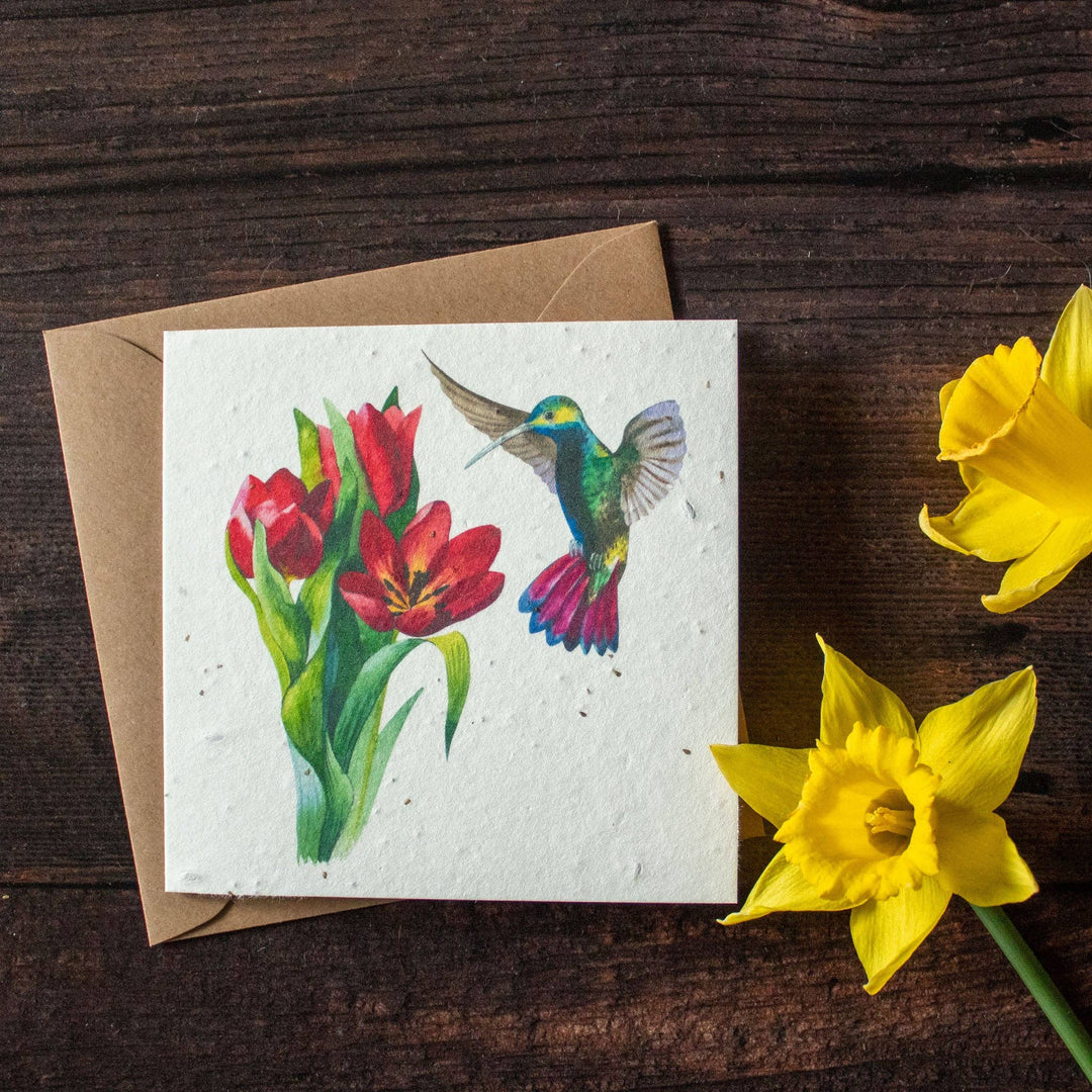 Plantable Greetings Card - Hummingbird