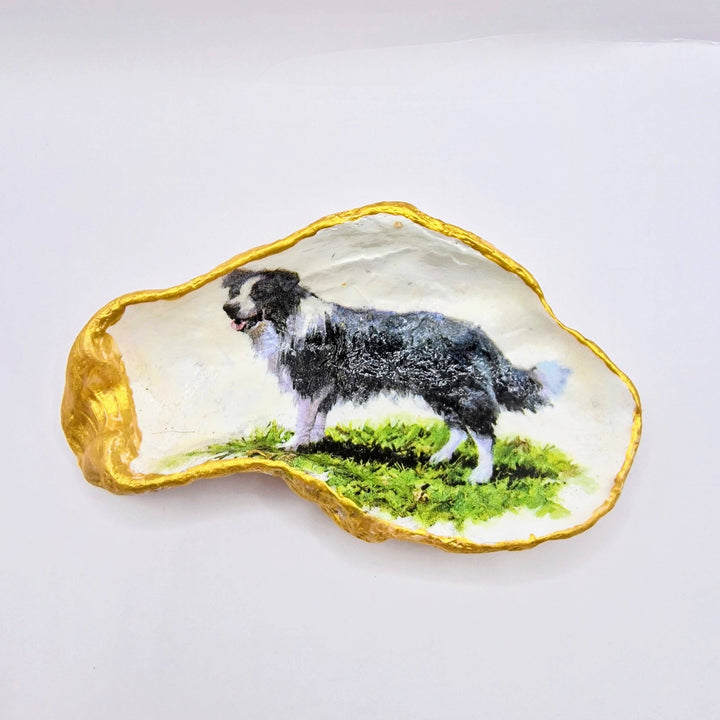 Border Collie Dog Oyster Shell Trinket Dish