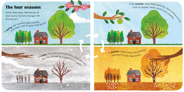 Trees: A Lift The Flap Book (Board)