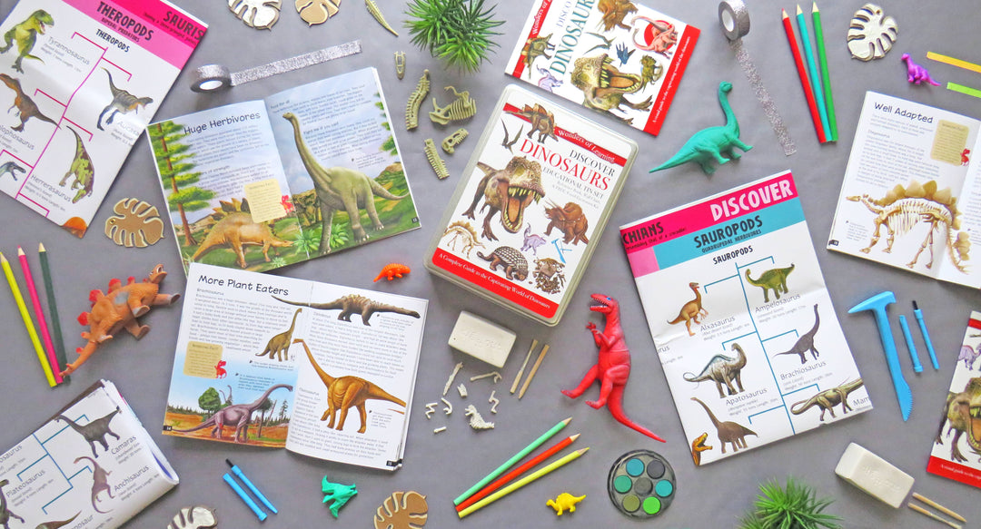 Childrens Discover Dinosaur Activity Kit