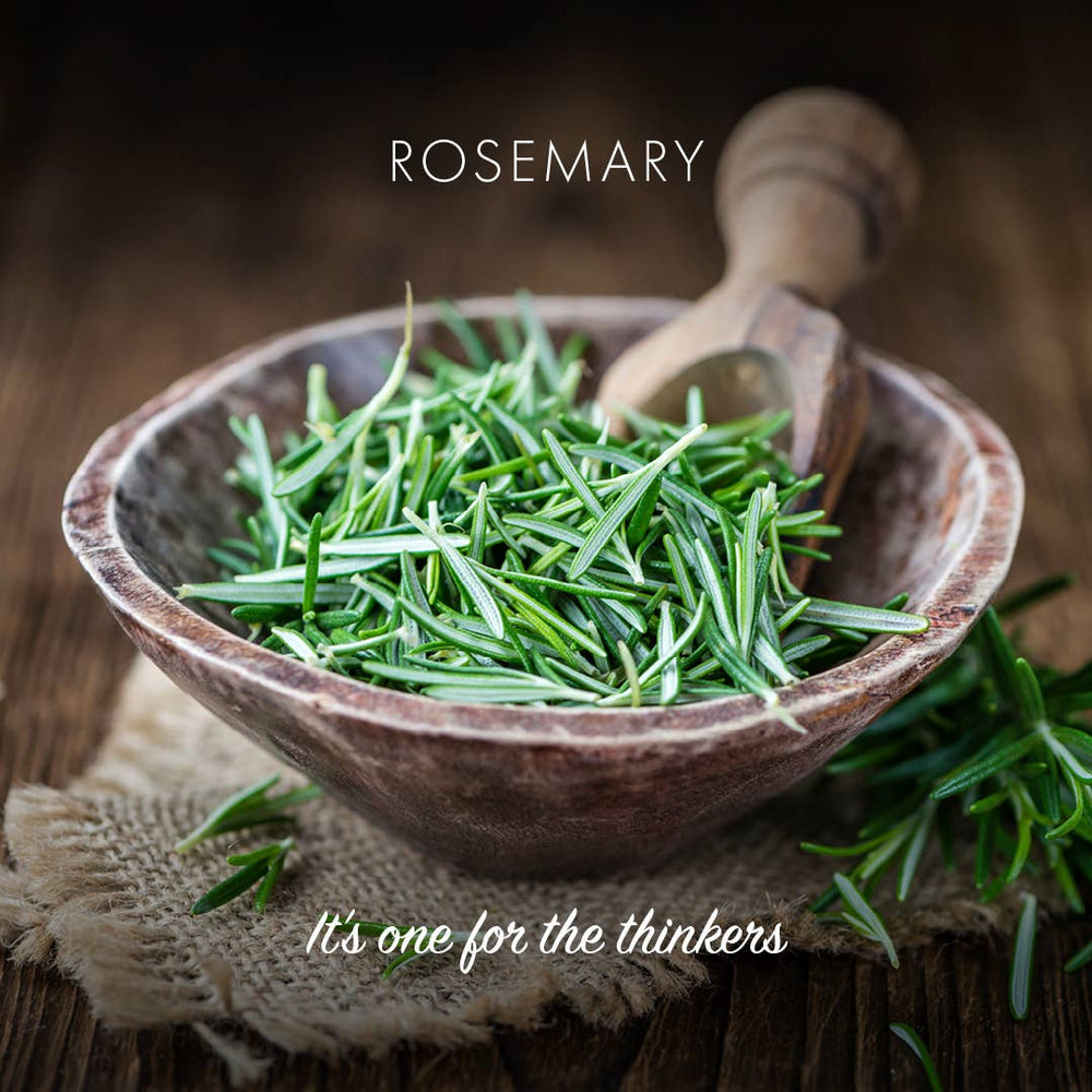 Friendly Soap Rosemary Soap Bar