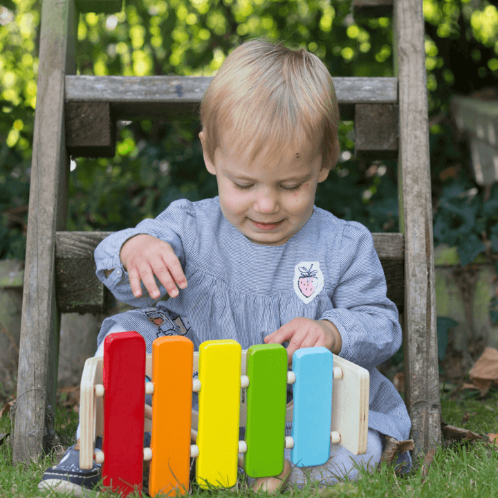2 in 1 colourful wooden pound and tap bench Helps develop hand eye coordination Made from sustainable wood Item dimensions: 29 x 19 x 10cm Suitable for: 12 months +