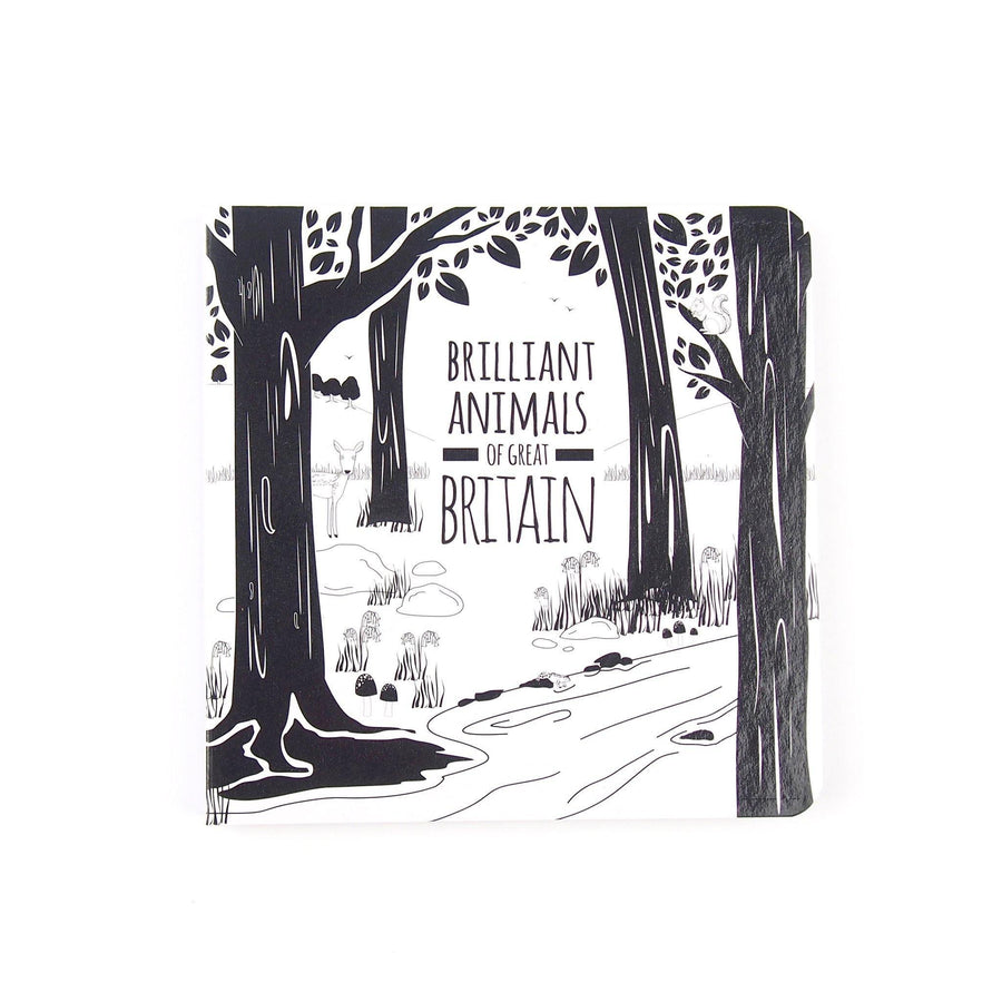 Board Books Black & White Baby Book - Animals Of Great Britain Black & White Book Project