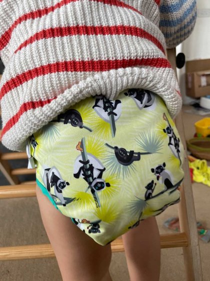 Close Pop In birth - potty reusable cloth nappy (Ferret, Moose, Lemar) - Eco Baby Box