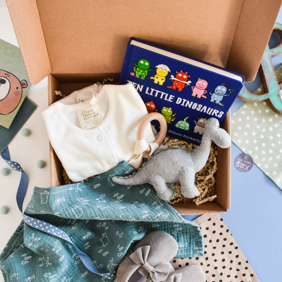 Gift boxes Roarr goes the Dinosaur - New Baby Gift Box Eco Baby Box